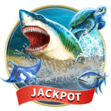 Shark Blitz